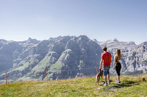 Verein der Zweitwohnungseigentümer in Leukerbad und Albinen Verein der Zweitwohnungseigentümer in Leukerbad und Albinen