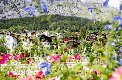 Verein der Zweitwohnungseigentümer in Leukerbad und Albinen Verein der Zweitwohnungseigentümer in Leukerbad und Albinen
